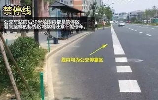 揚(yáng)州車主注意 亂停車不僅罰款，這些行為12分很快扣光